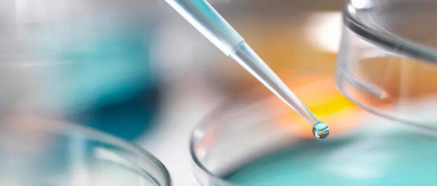 绿色守护者：环境检测行业的创新实践 